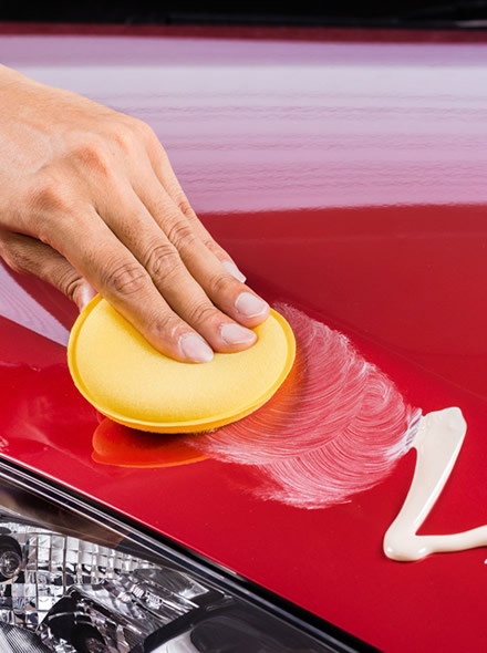 CarnaubaWax