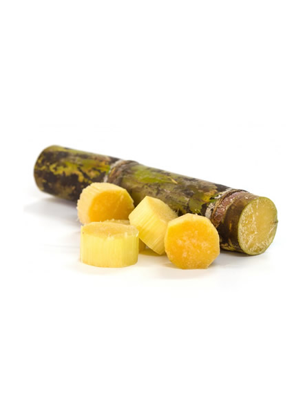 Carnauba